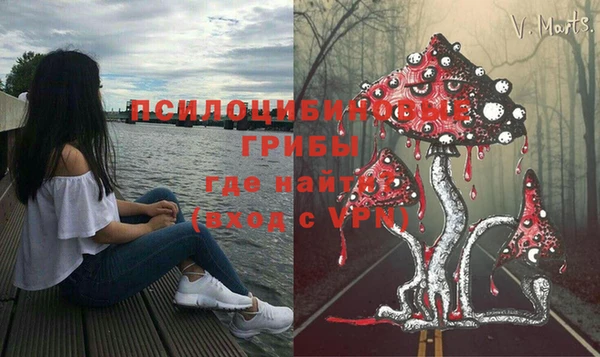 эйфоретик Лагань