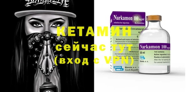 шишки Долгопрудный