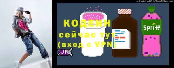 хмурый Лабытнанги