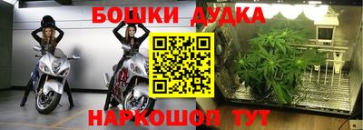 кокс Гагарин