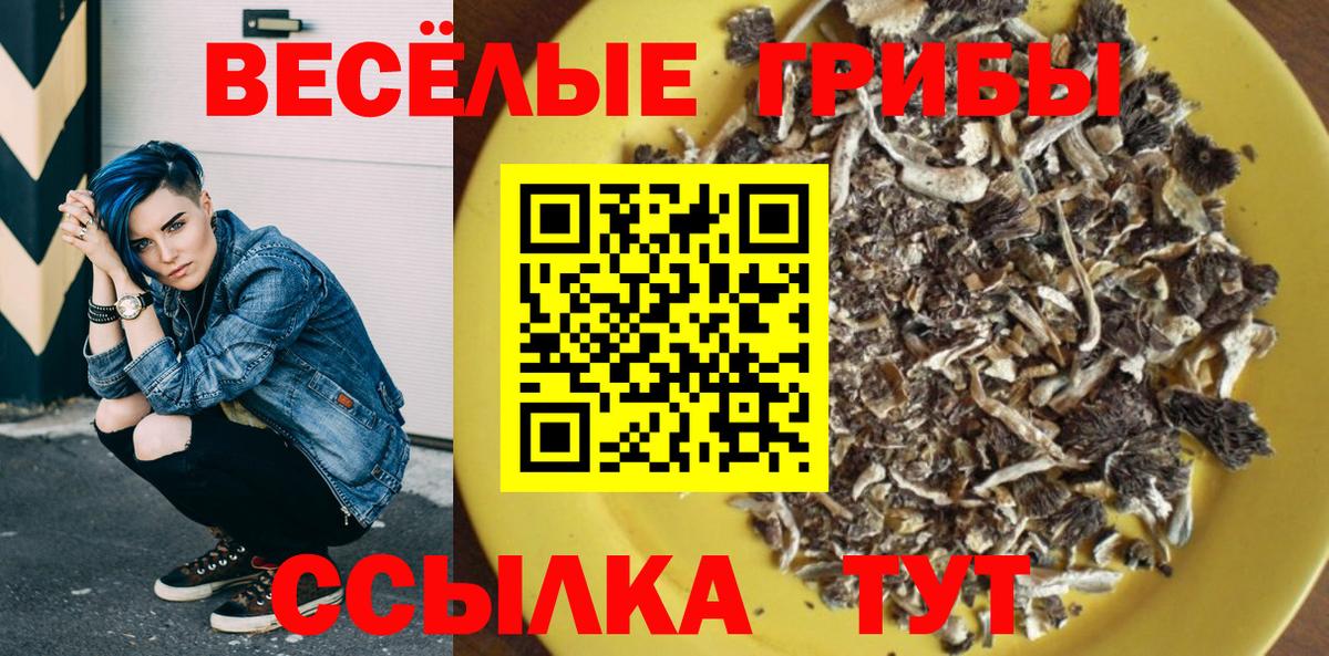 Псилоцибиновые грибы Psilocybine cubensis Ижевск